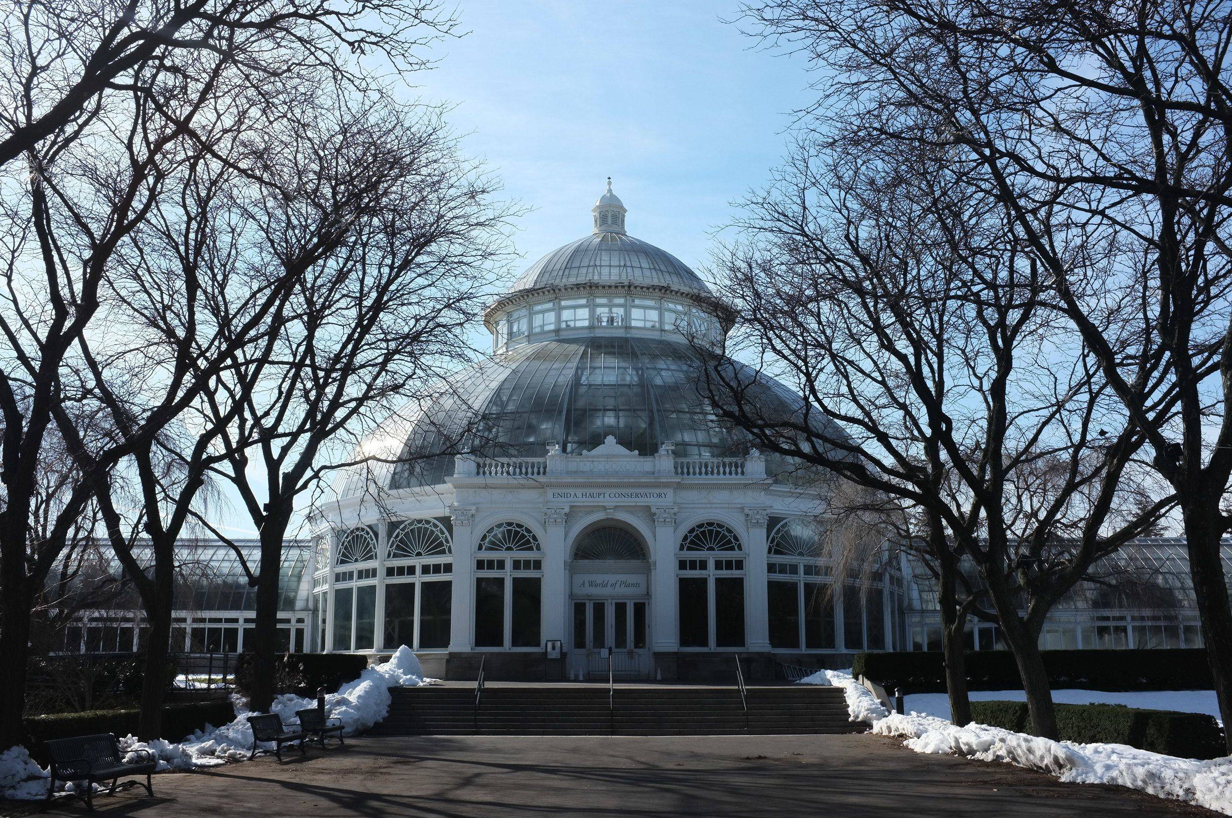 Enid A Haupt Conservatory Vertical
