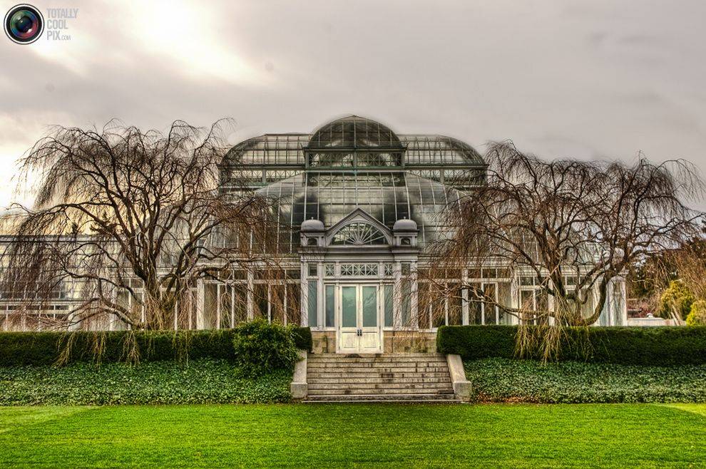 The Botanical Garden