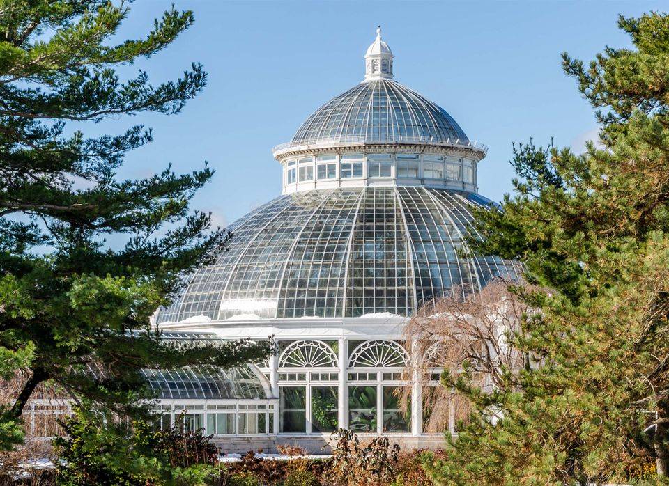 The New York Botanical Gardens Guide