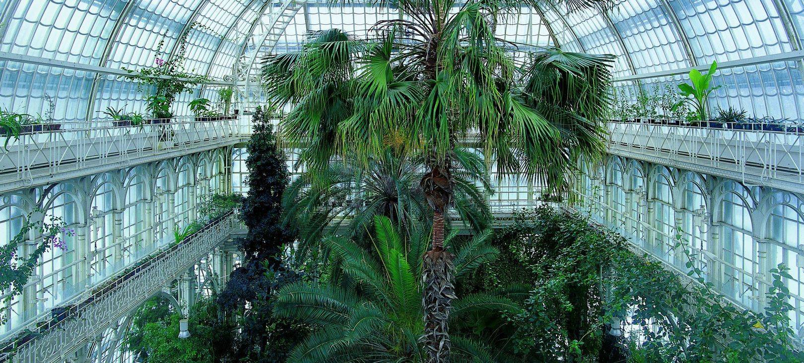 The New York Botanical Garden