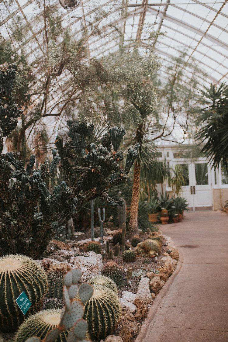 Missouri Botanical Garden Greenhouse