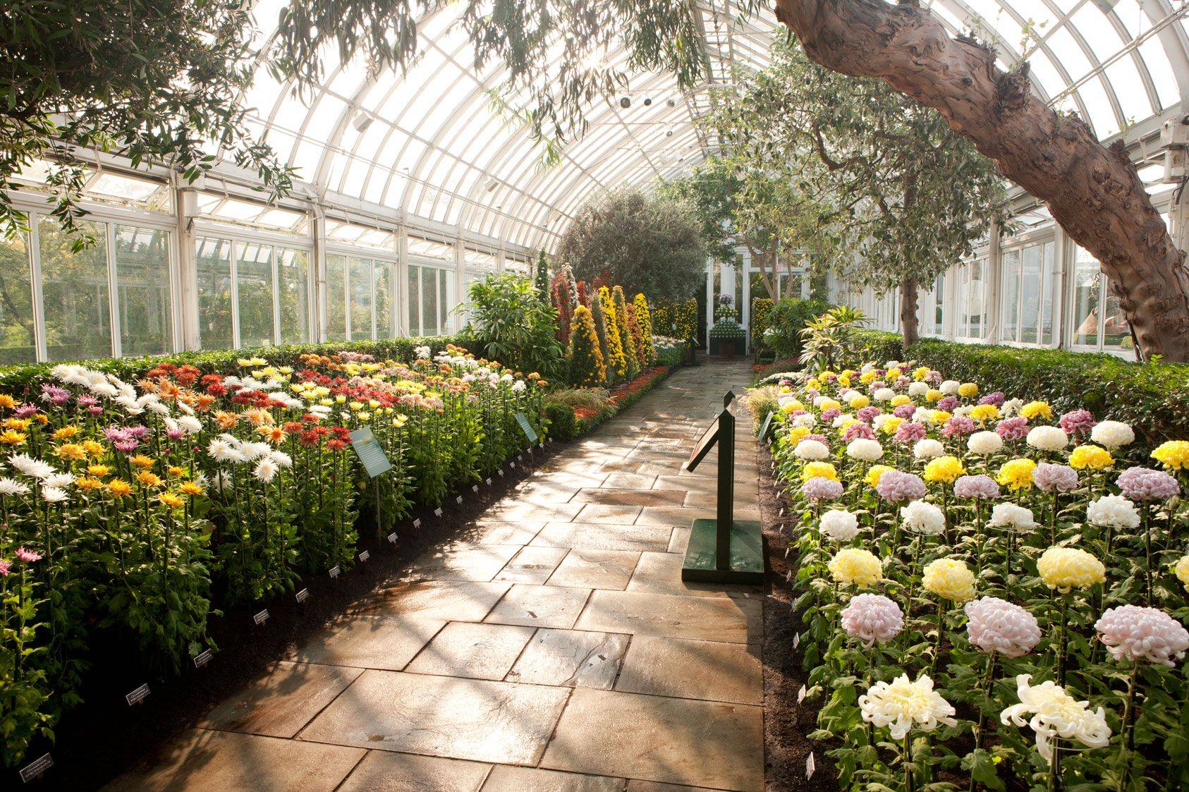 Missouri Botanical Garden Greenhouse