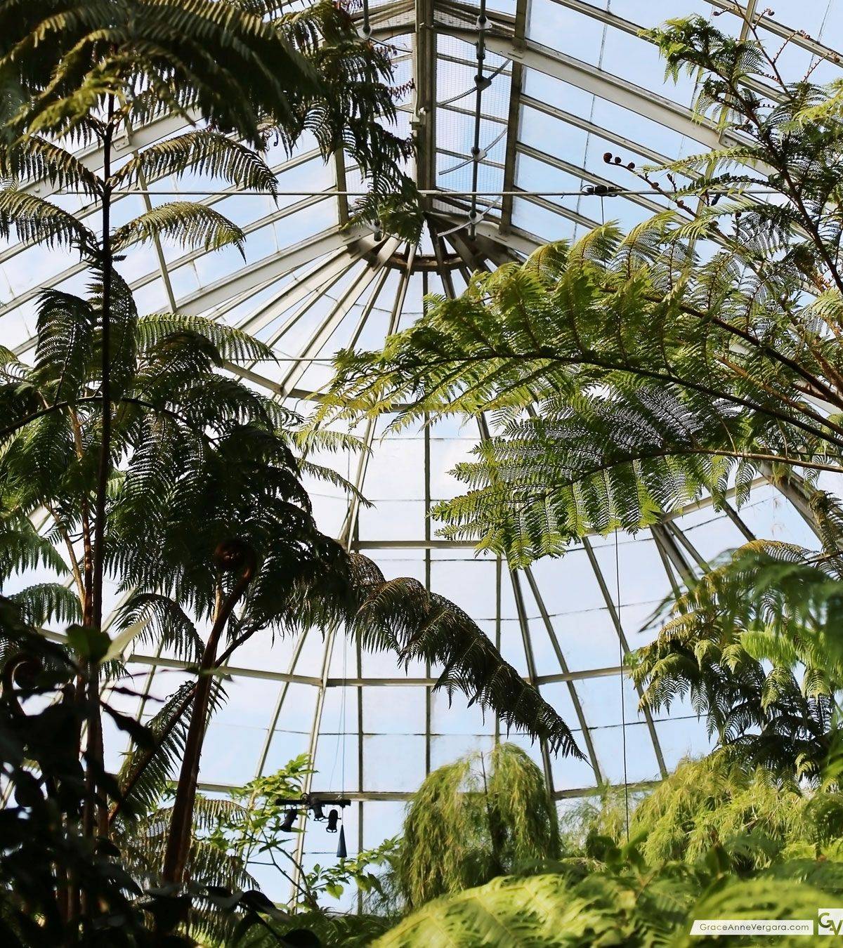 New York Botanic Garden Greenhouse