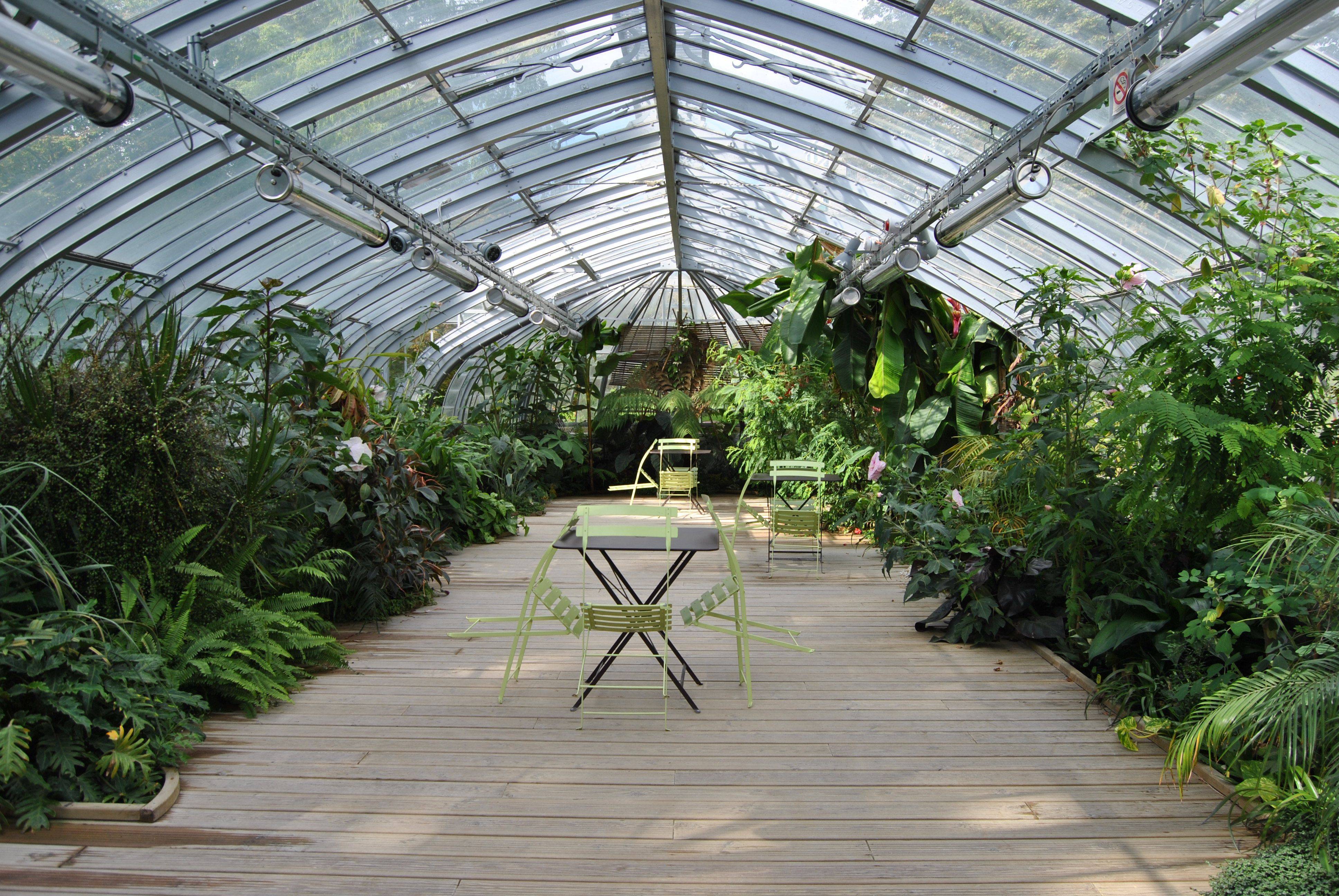 New York Botanic Garden Greenhouse