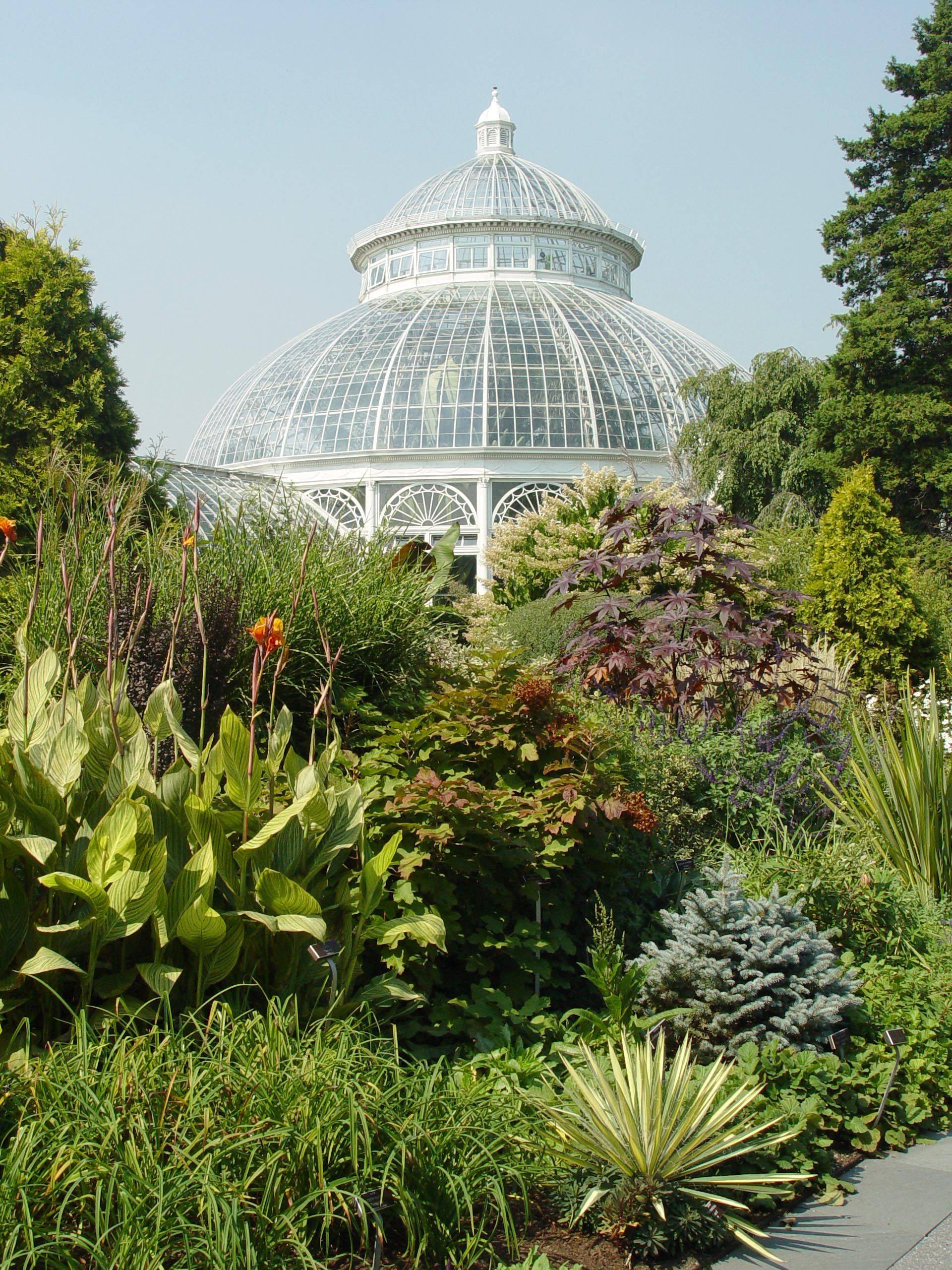 Palm House Schnbrunn