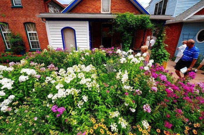 Gardening Inspiration