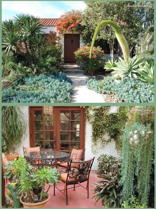 Pin On Gardening