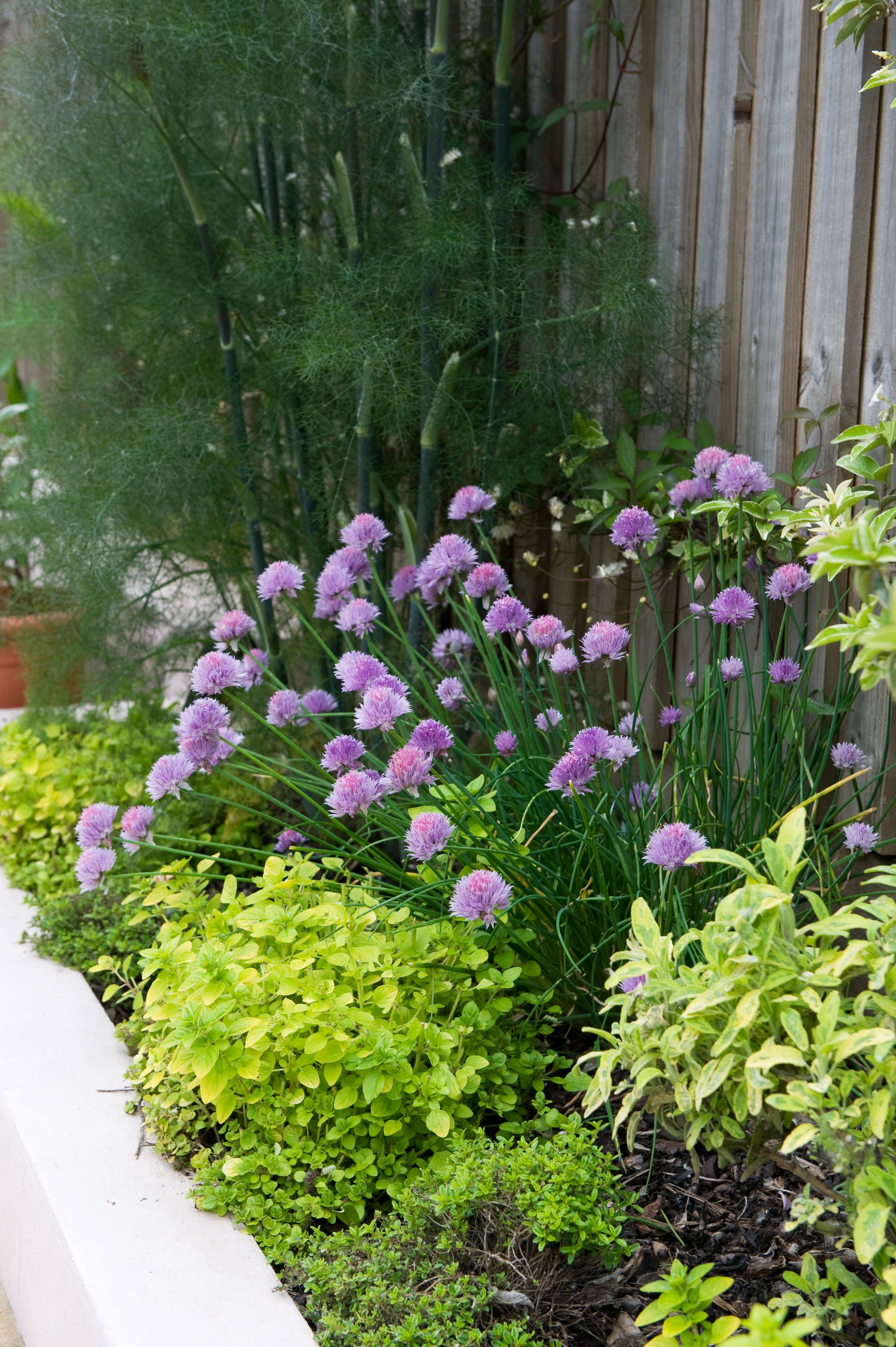 Megans Londons Stunning Garden