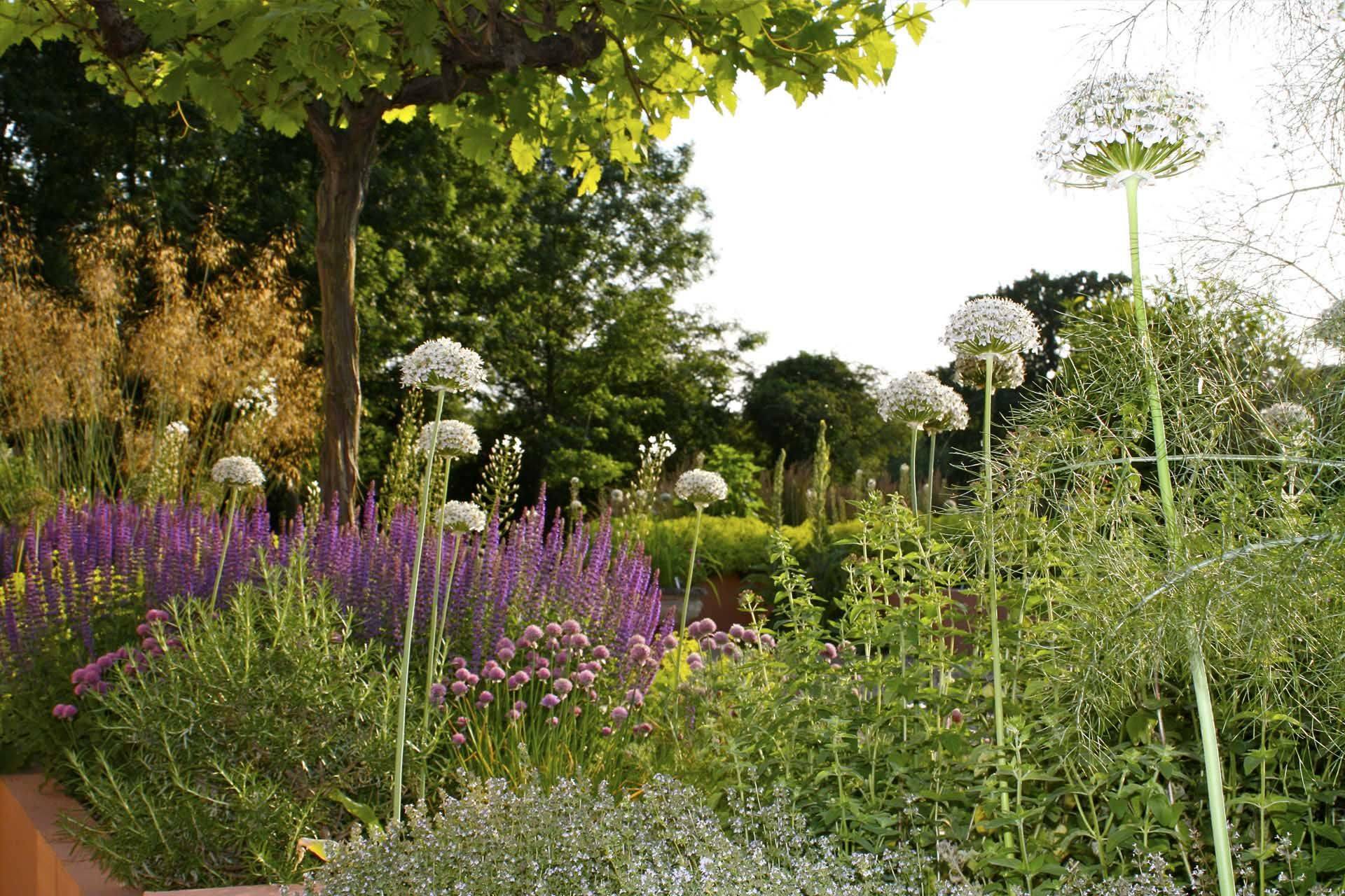 The Garden Cambridge Central Mosque