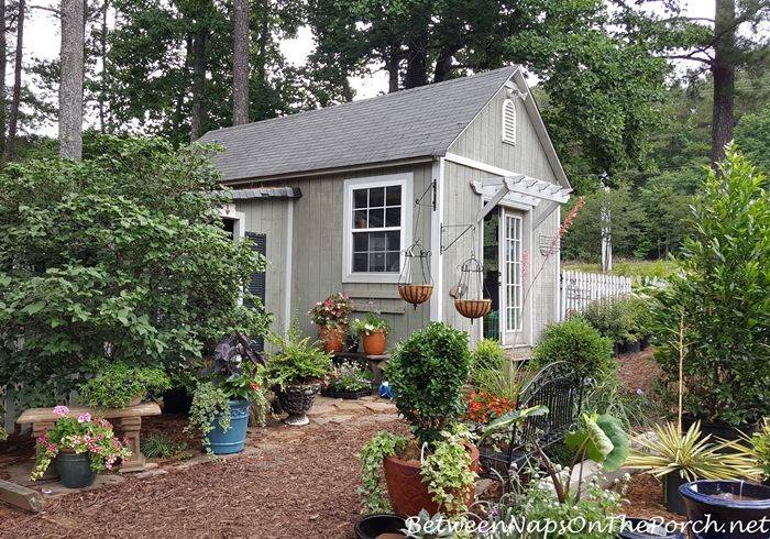 This Cottage Potting Shed