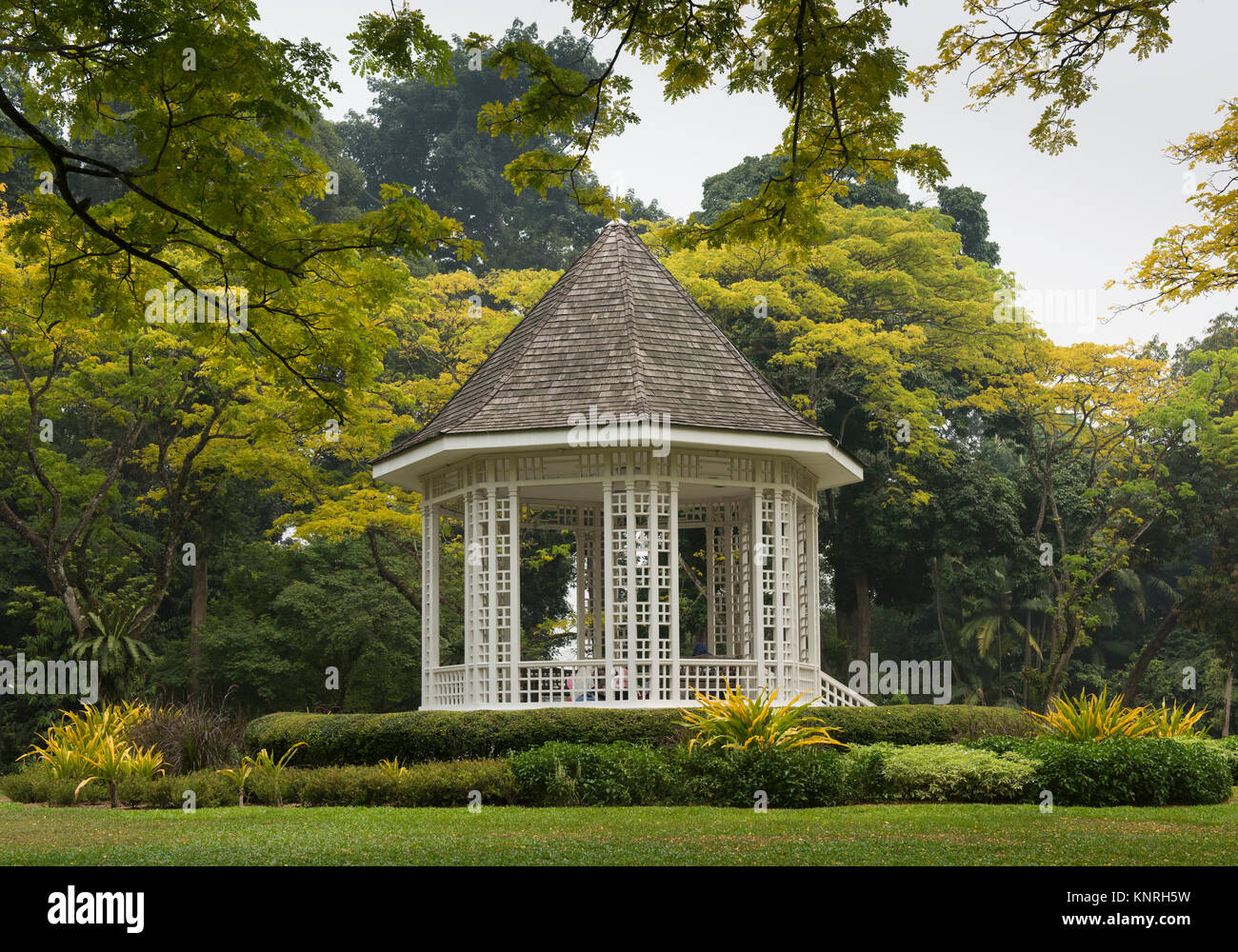 Singapore Botanic Gardens