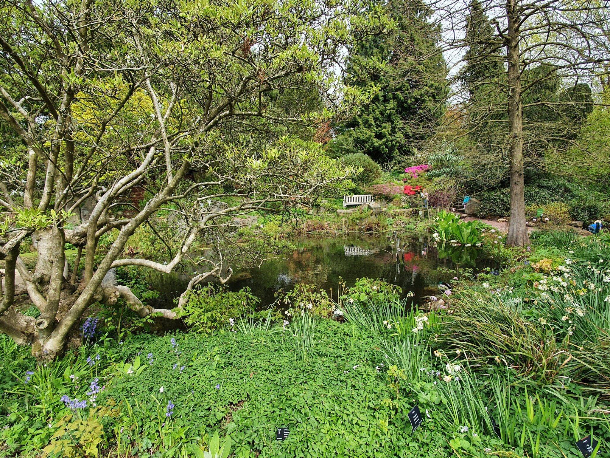 The Botanical Gardens