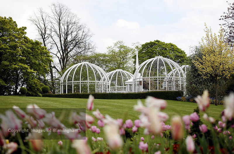Ogden Botanical Gardens Photography