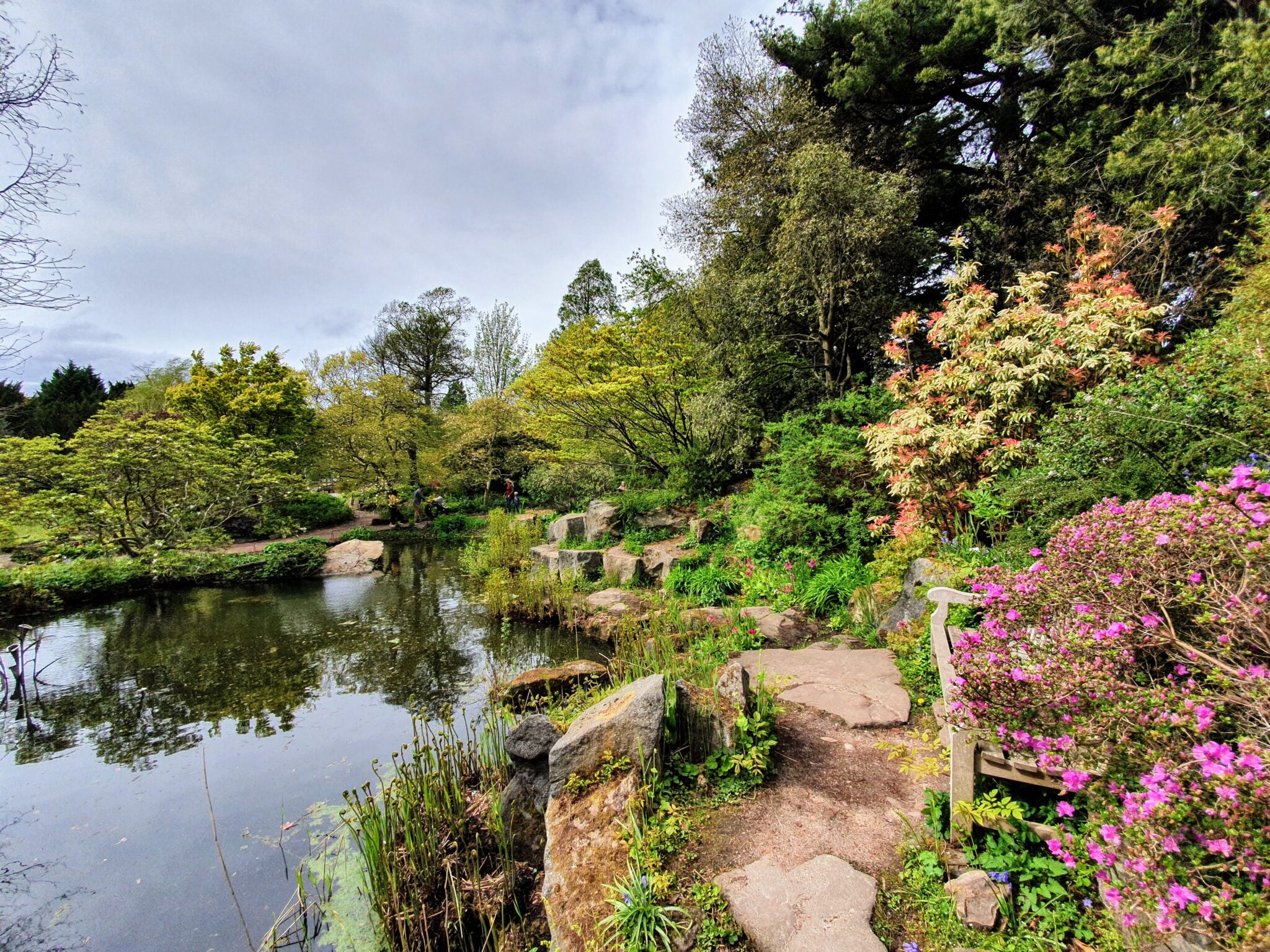 Winterbourne Botanic Garden