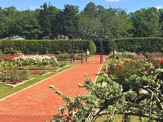 Winterbourne Botanic Garden