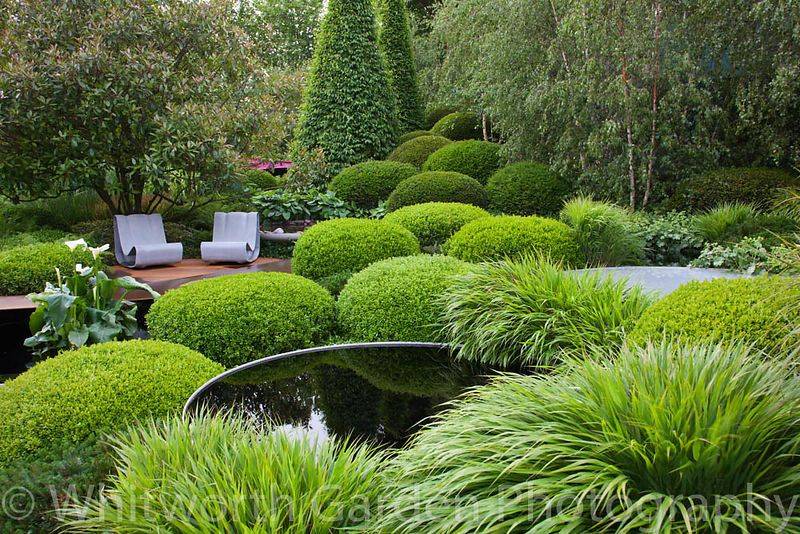 Amazing Gardens Chelsea Garden