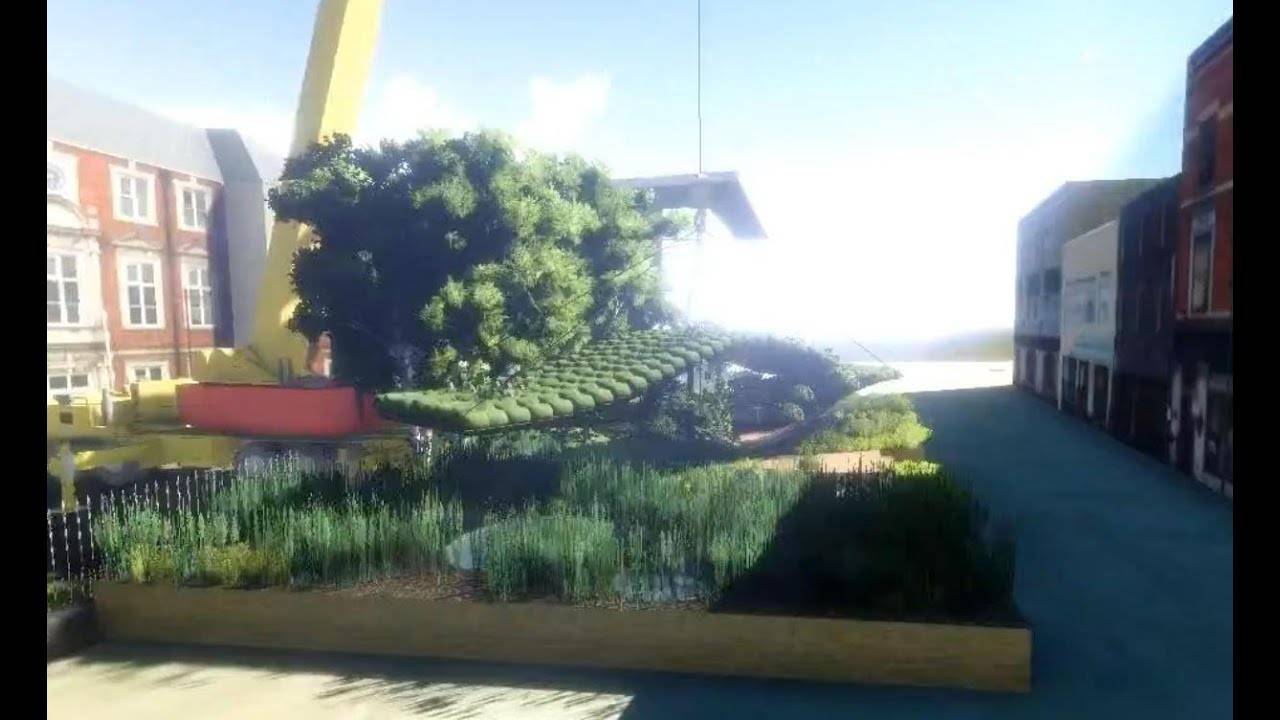 Chelsea Flower Show Irish Sky Gardendesigned