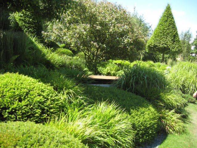 Irish Sky Garden