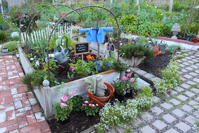 Rabbit Garden