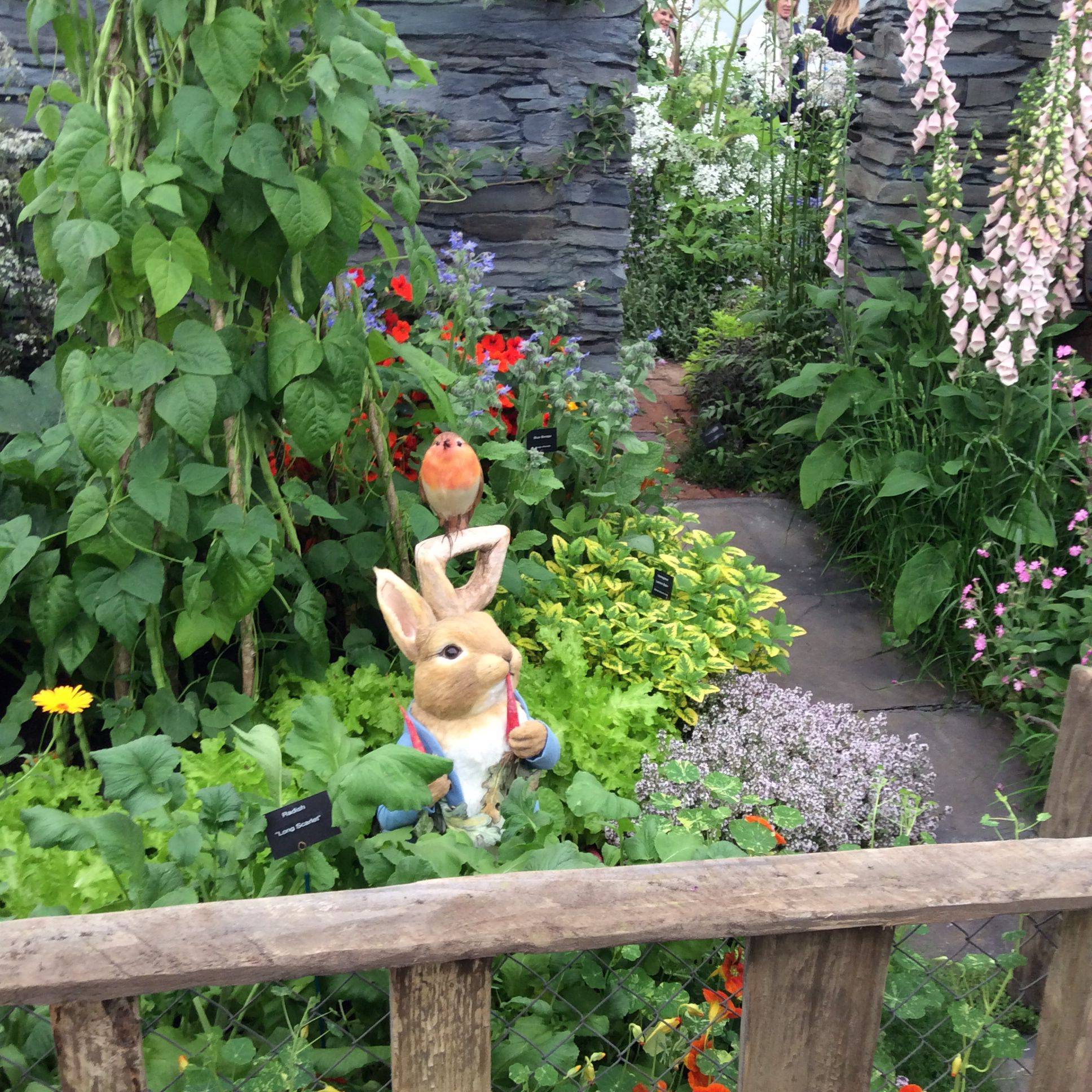 Rabbit Garden