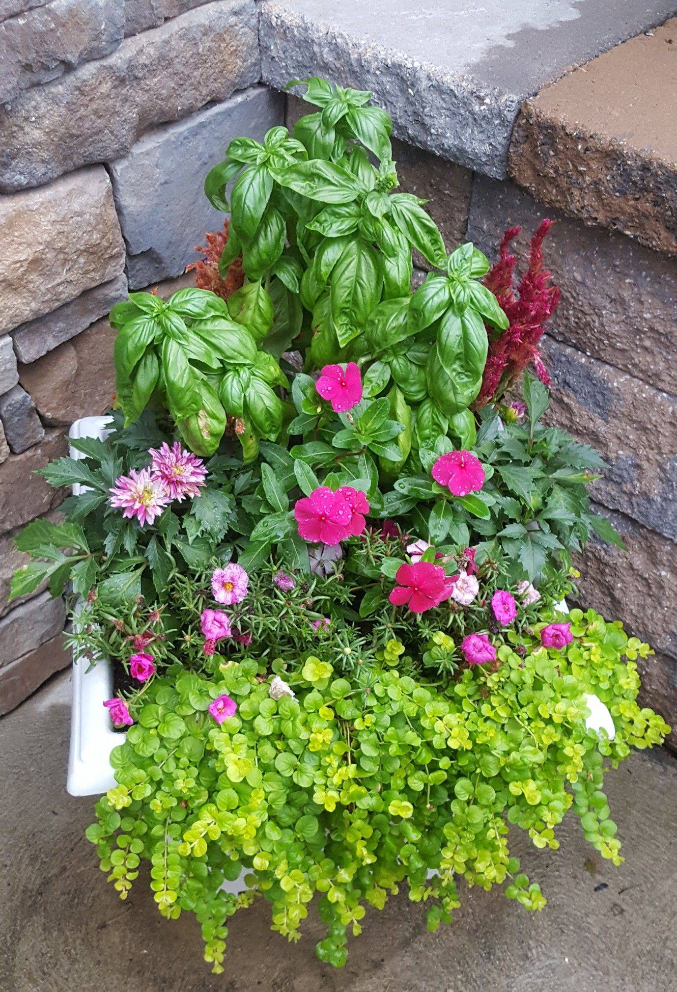 Pie Garden Herb Garden Design