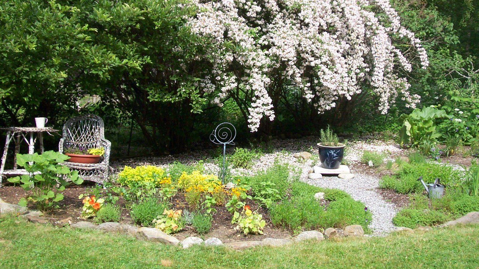 Herb Garden Backyard