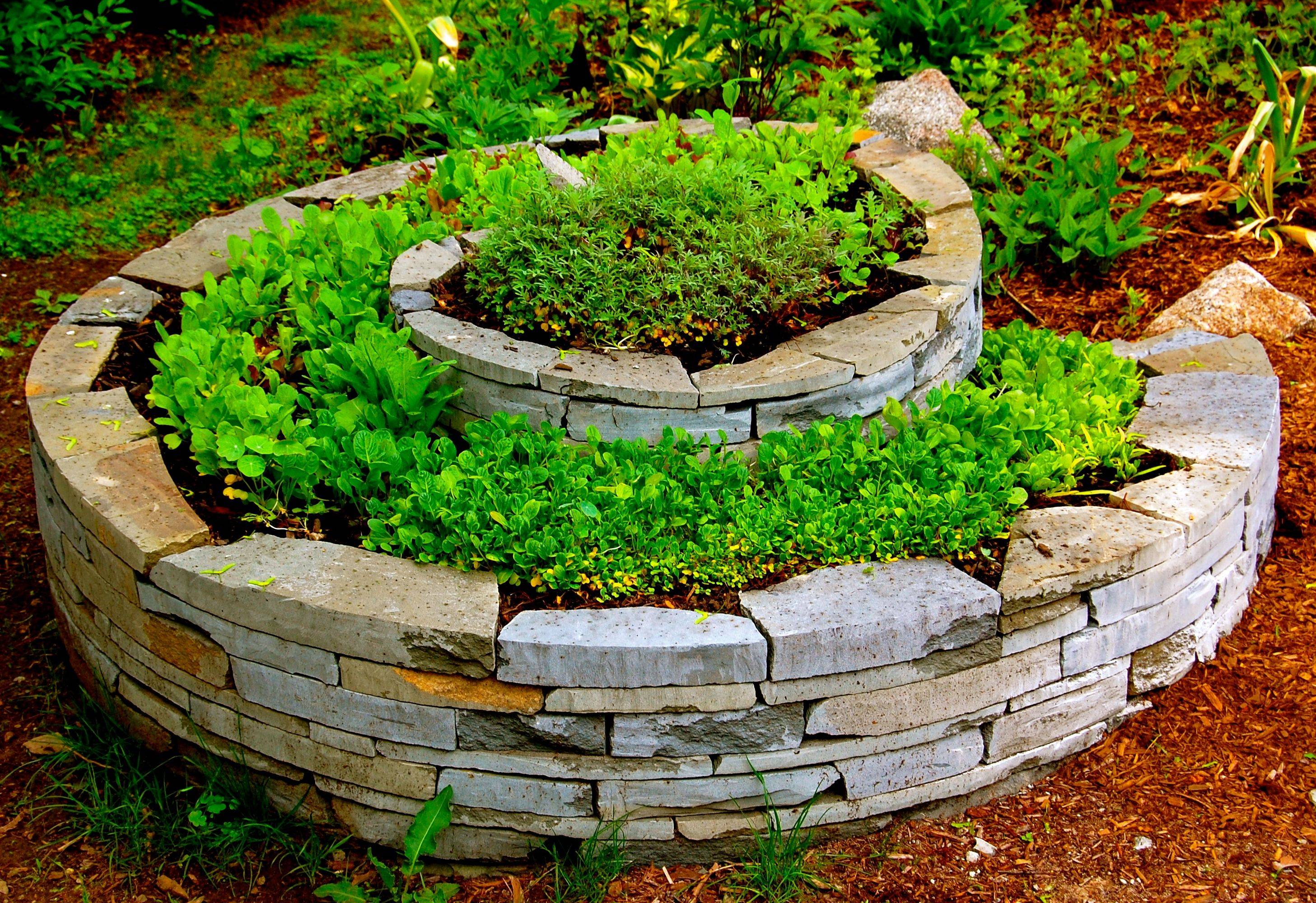 Spiral Herb Garden Outdoor Gardens