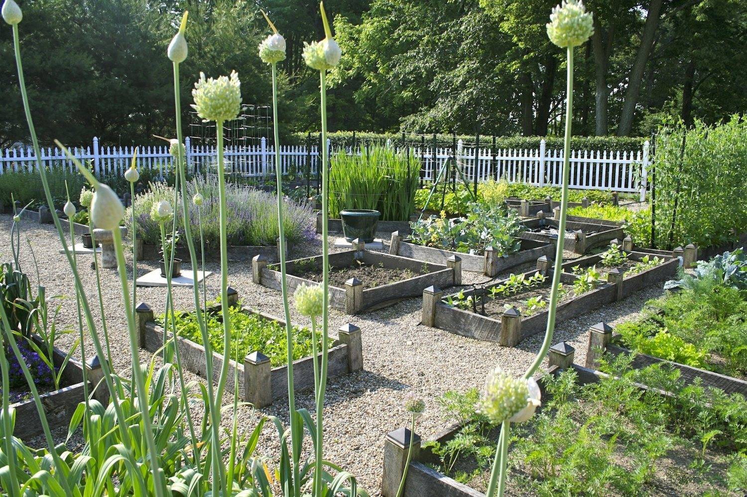 Beautiful Vegetable Garden Ideas