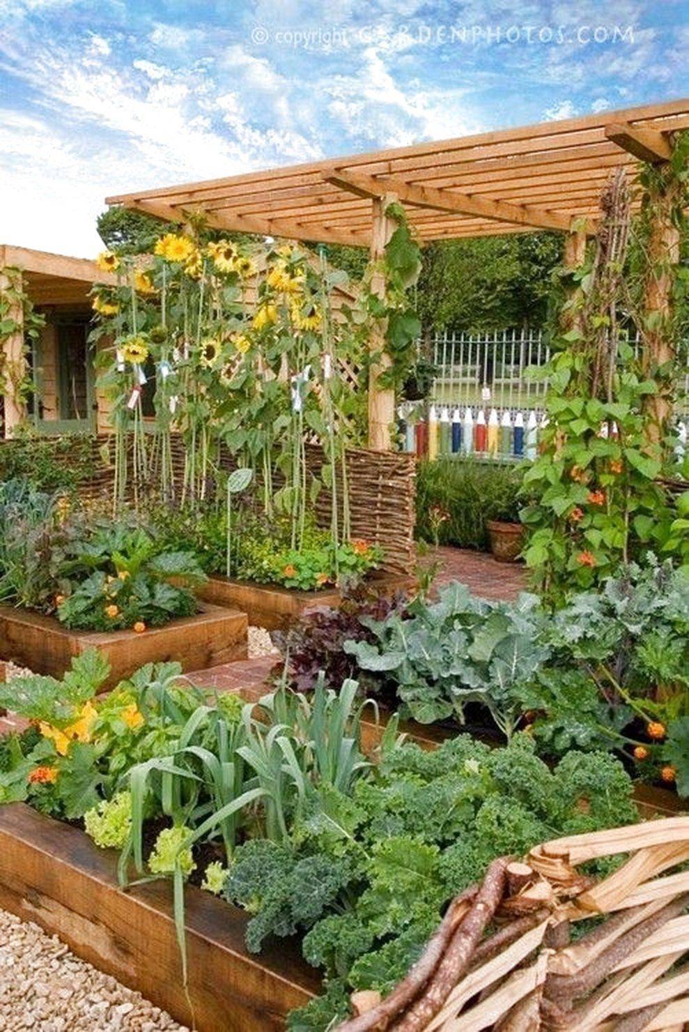 Very Beautiful Backyard Vegetable Garden Designs