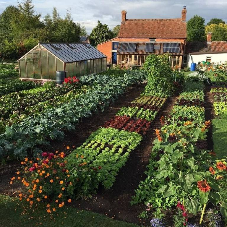 Most Beautiful Vegetable Gardens