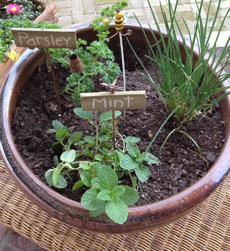 Adorable Diy Container Herb Garden Design Ideas Freshhome