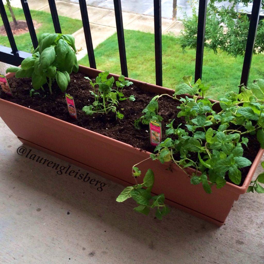 Smart Diy Cinder Block Garden Design Ideas Container Herb Garden