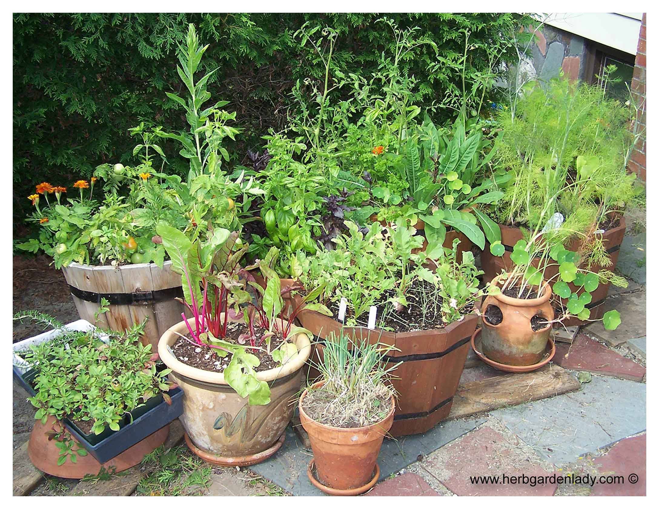 Container Herb Garden Container Herb Garden