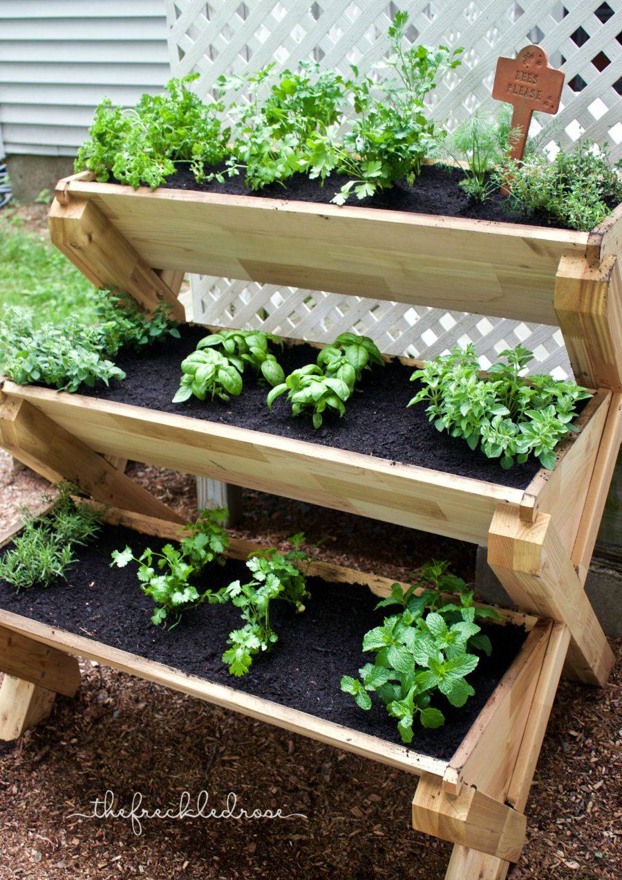 Herb Container Gardening Ideas