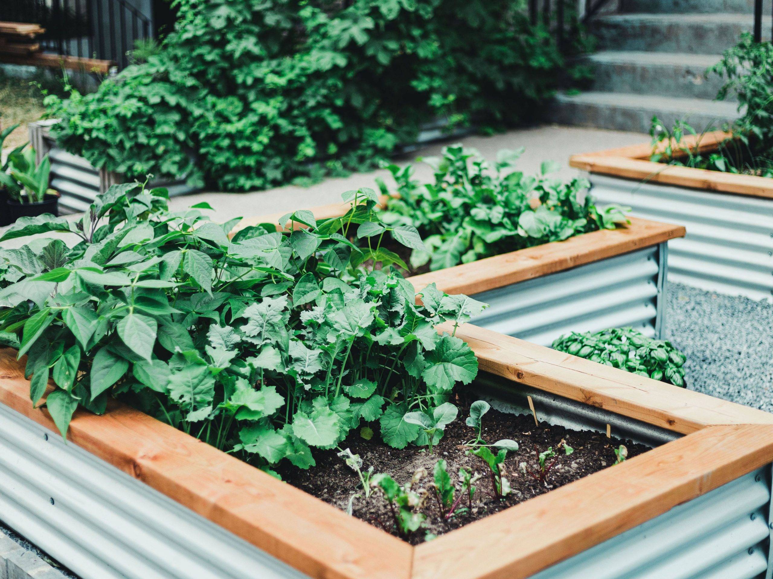 Creative Cheap Raised Garden Bed Decor Units