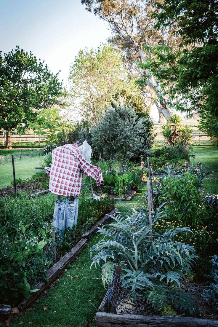 Permaculture Gardening