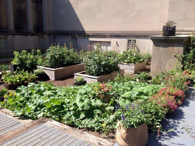 Community Garden