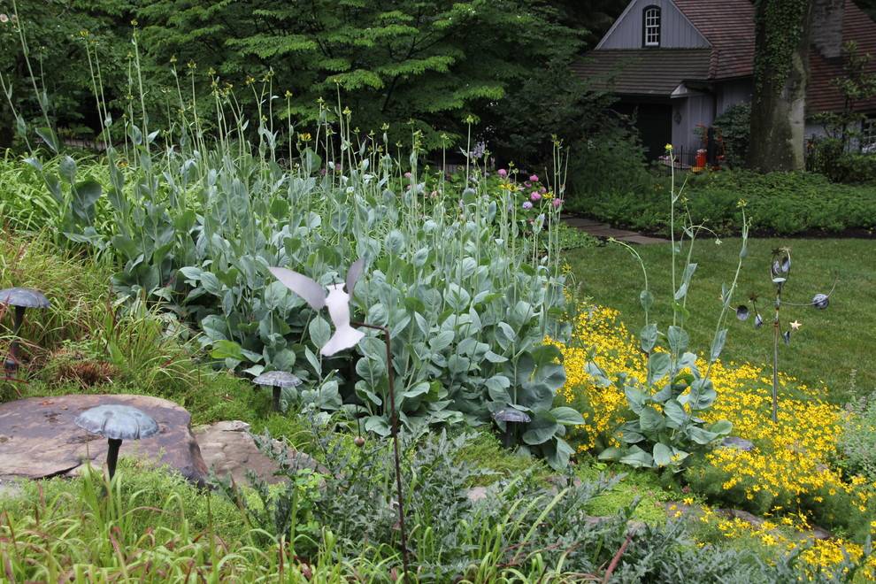 Community Garden