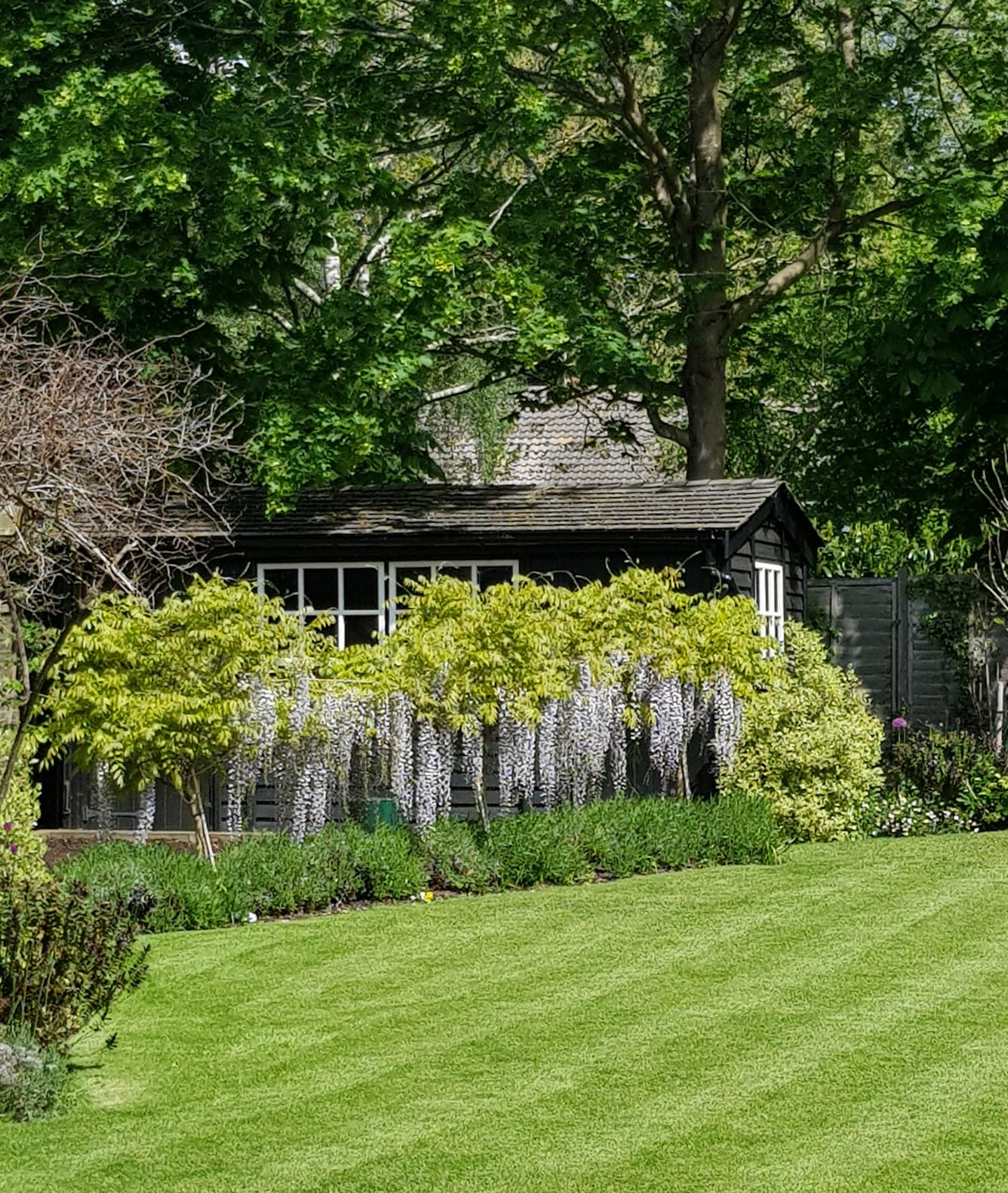 Community Garden