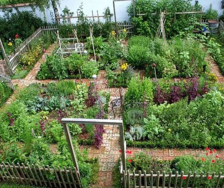 Inspiring Vegetable Gardening Ideas