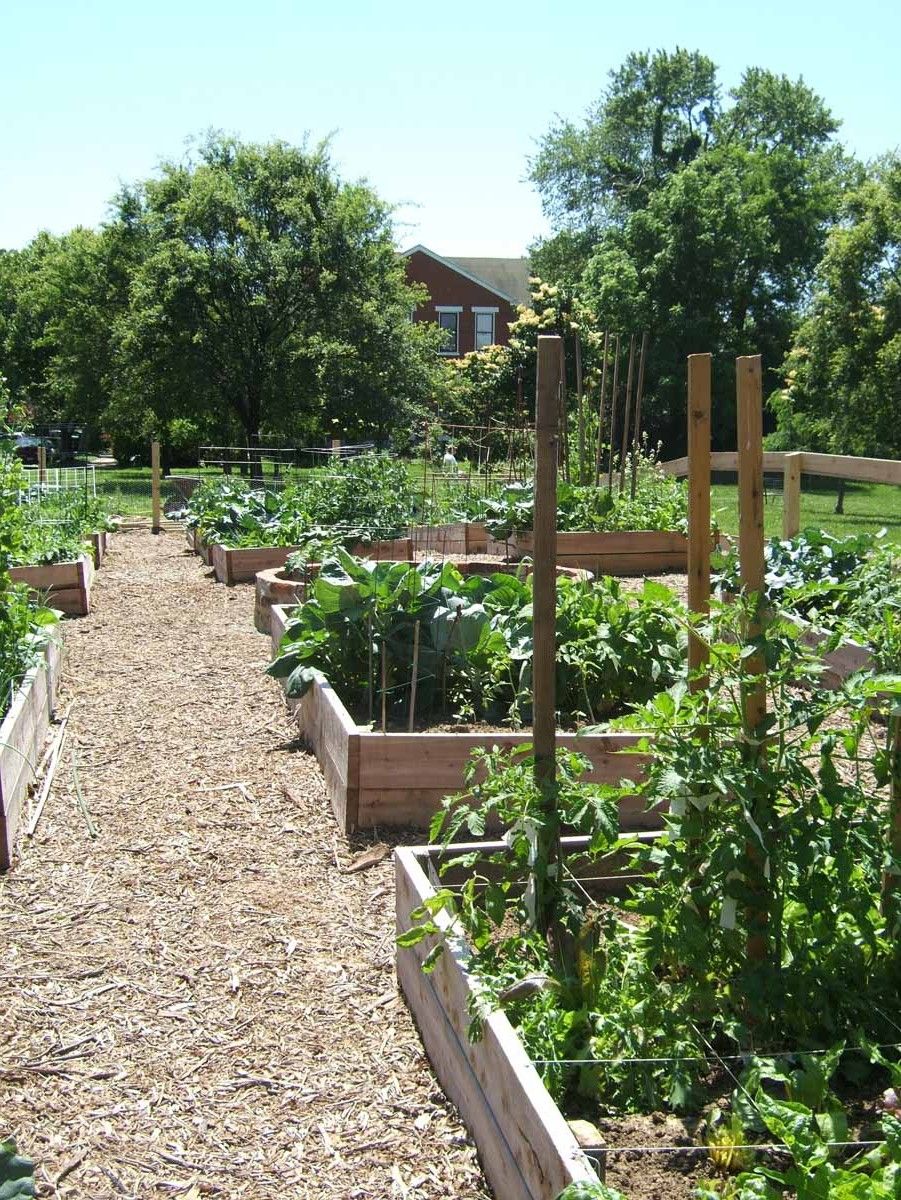 Beautiful Urban Permaculture Garden Example