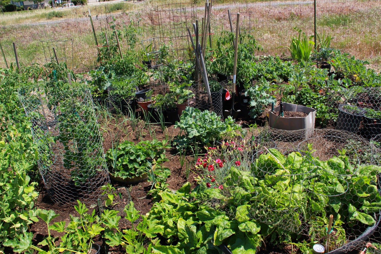 Different Community Garden Plot Designs