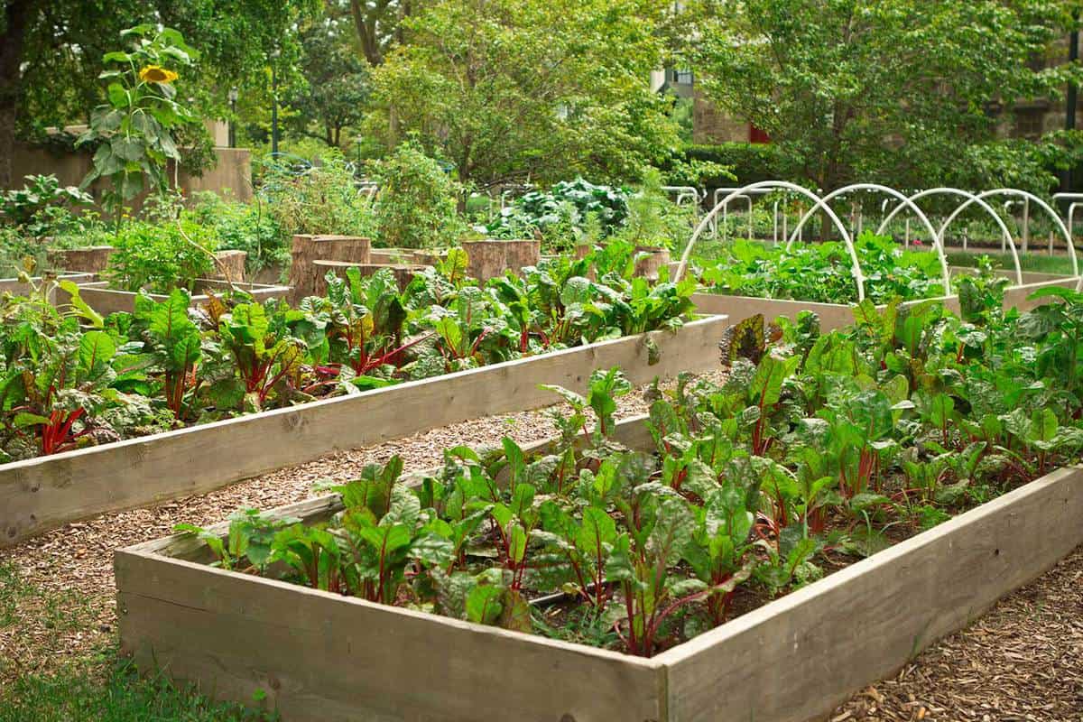 Different Community Garden Plot Designs