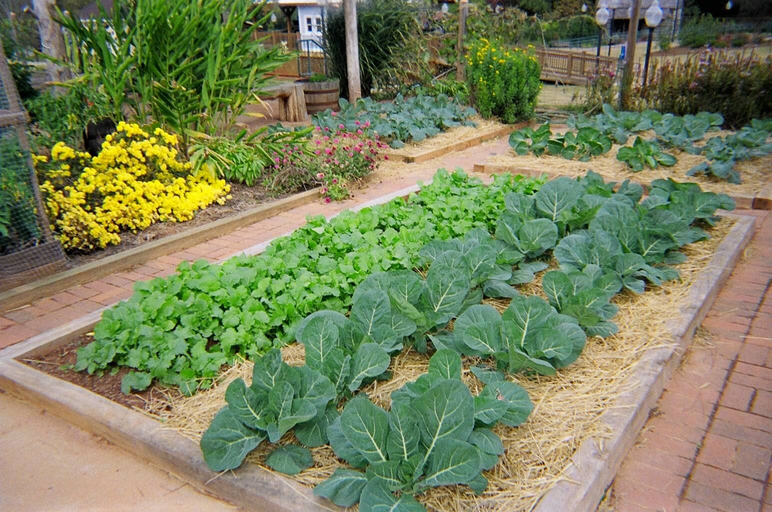 Box Garden Ideas Inspiration Picture Post Garden Tabs