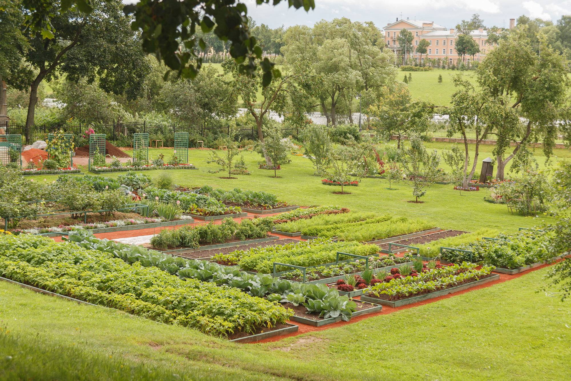 A Community Garden