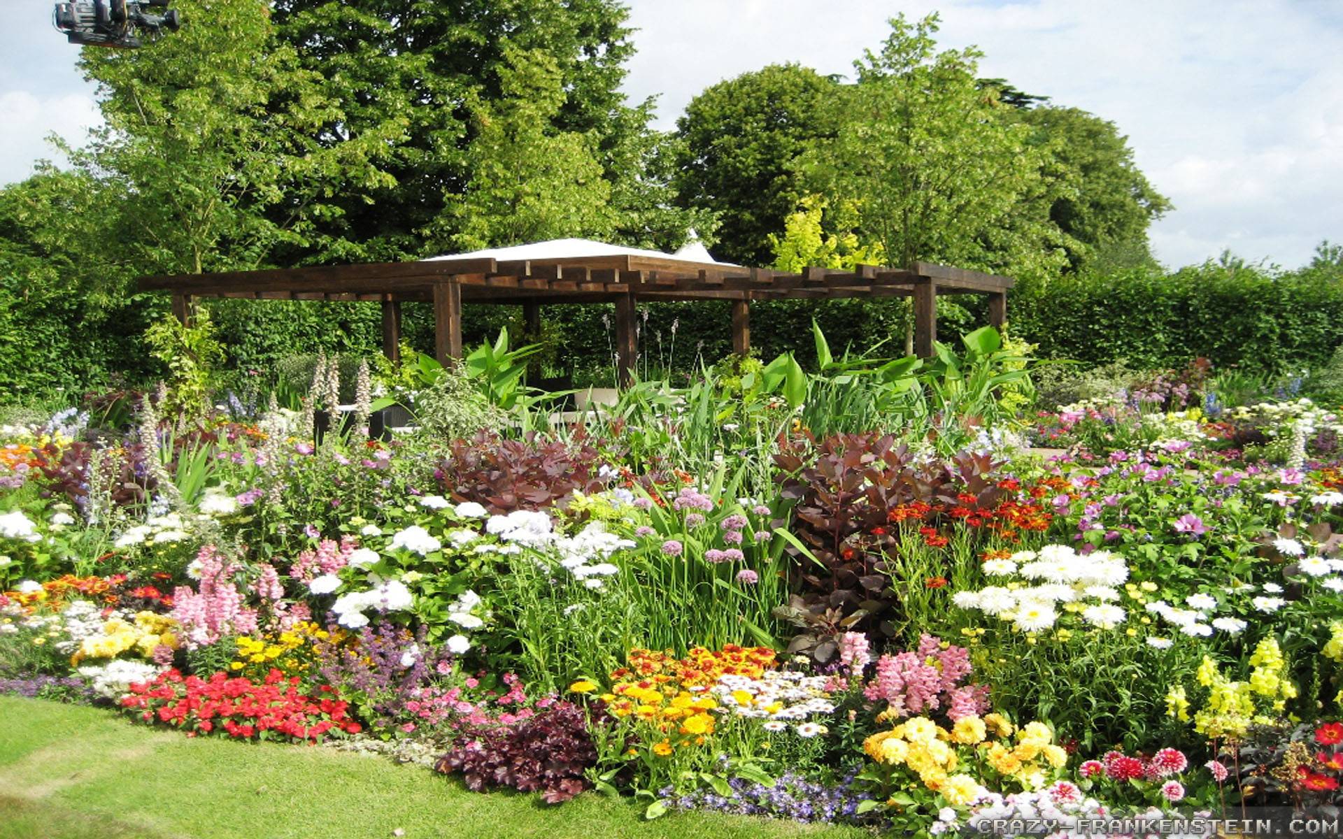 Dovers First Robotic Community Garden Diversity