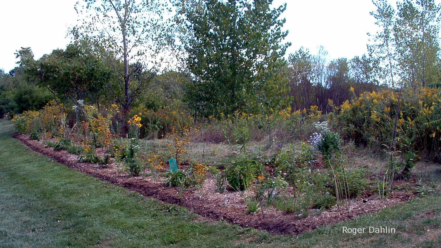 Fall Container Gardening Ideas Southern Living