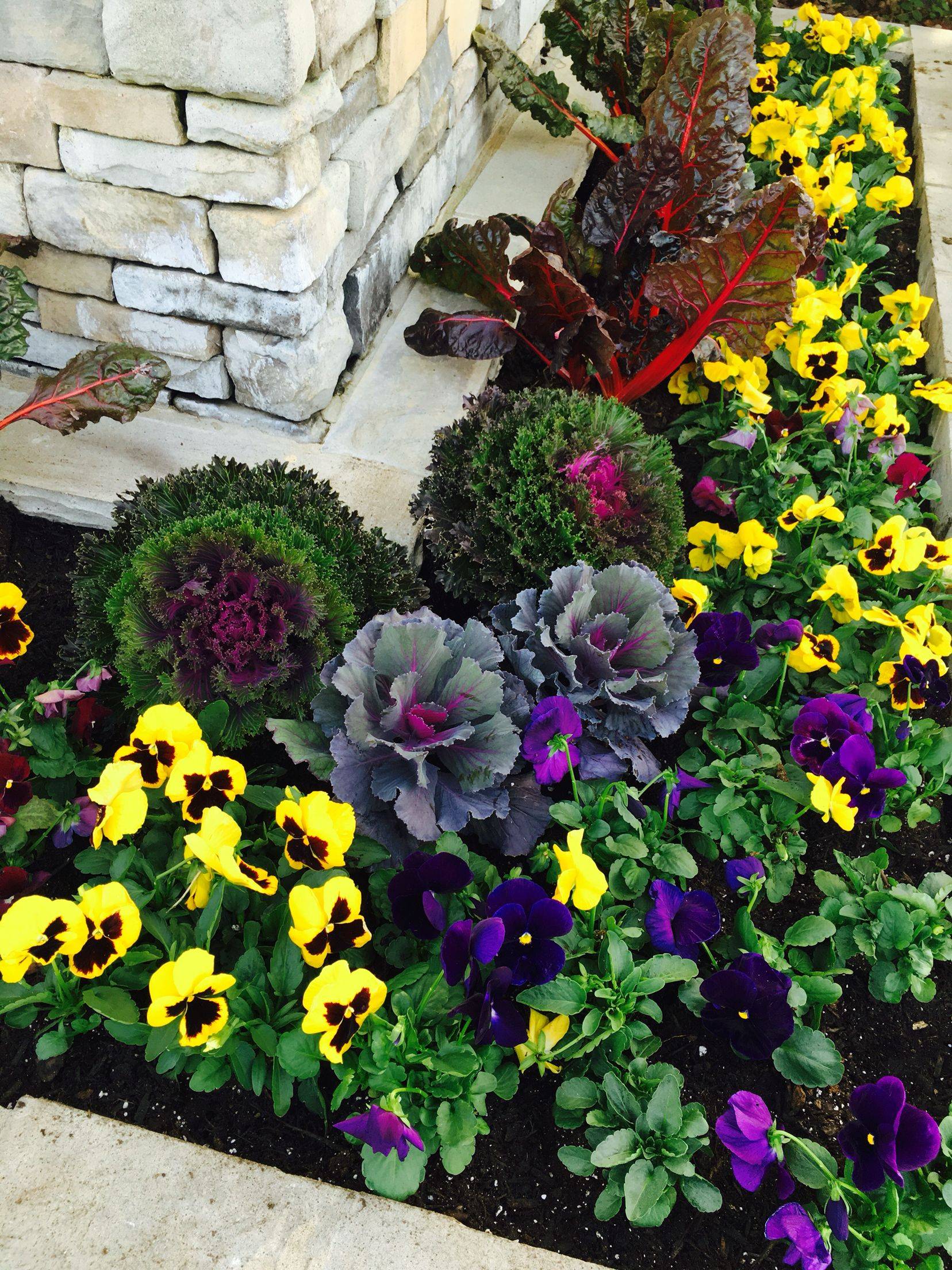 Glencarlyn Library Community Garden