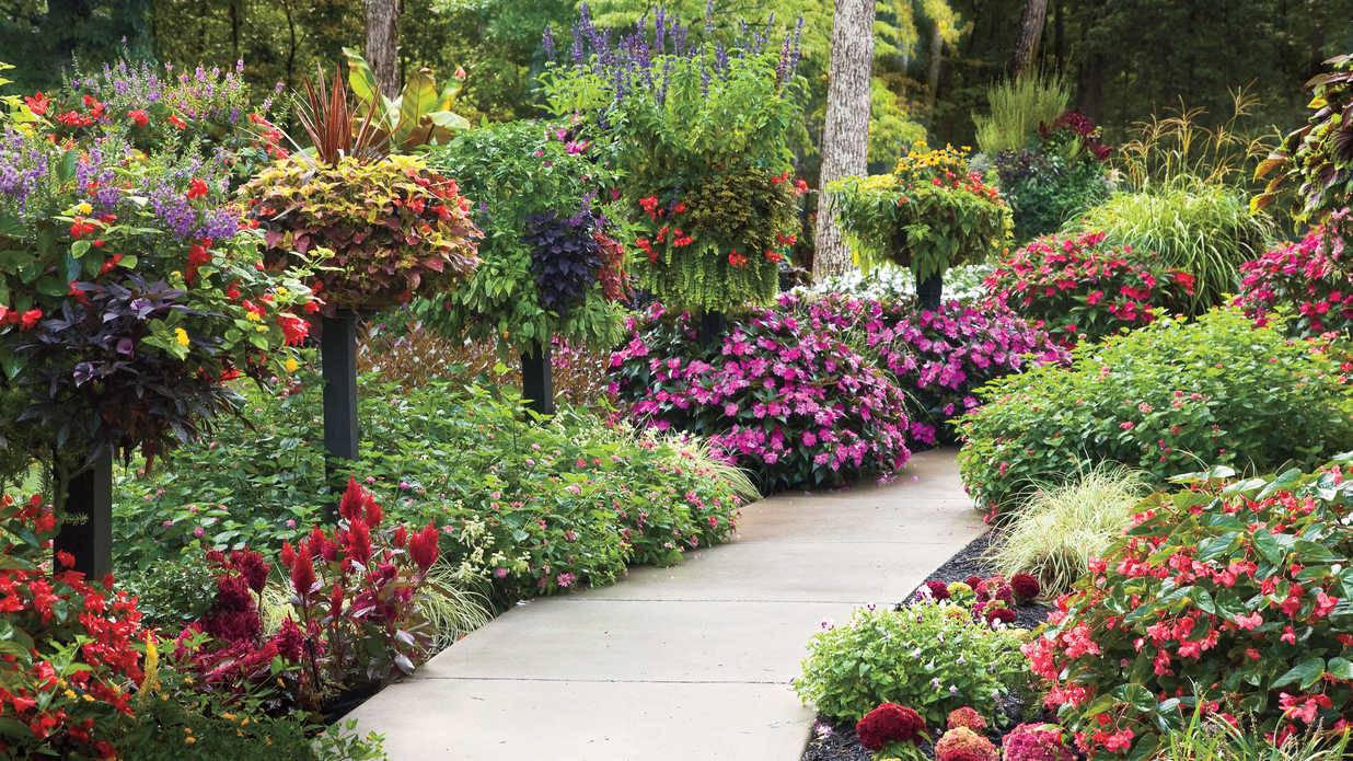 A Community Garden