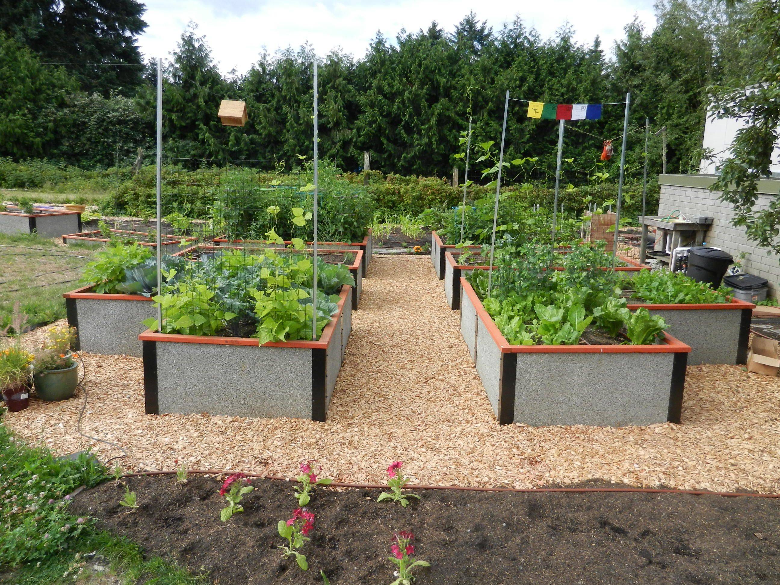 Different Community Garden Plot Designs